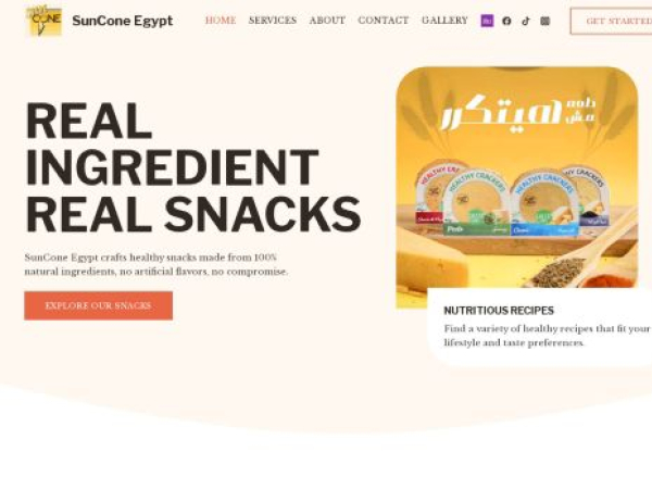 suncone-egypt.com
