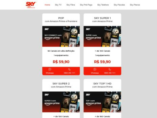 skyassine.com.br