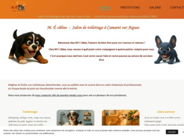 salonmecaline.fr